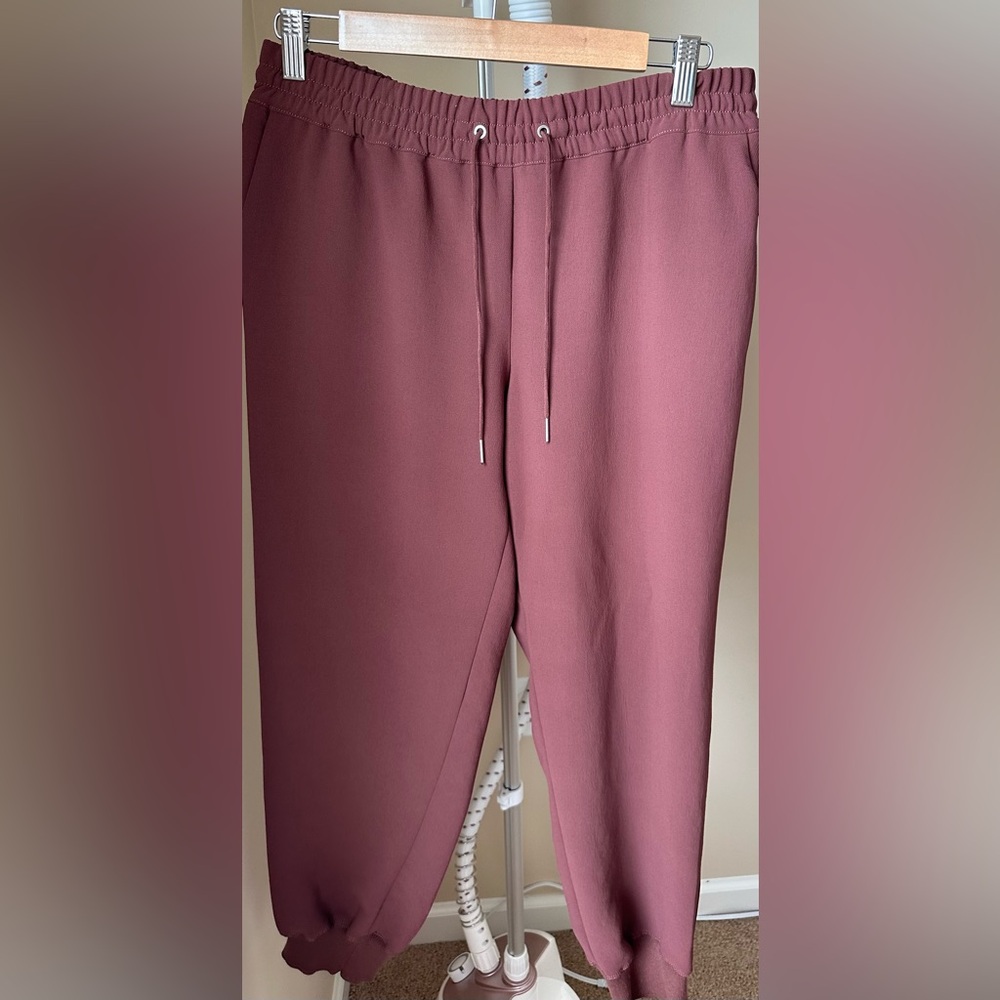 Aritzia (Wilfred) Brown Joggers